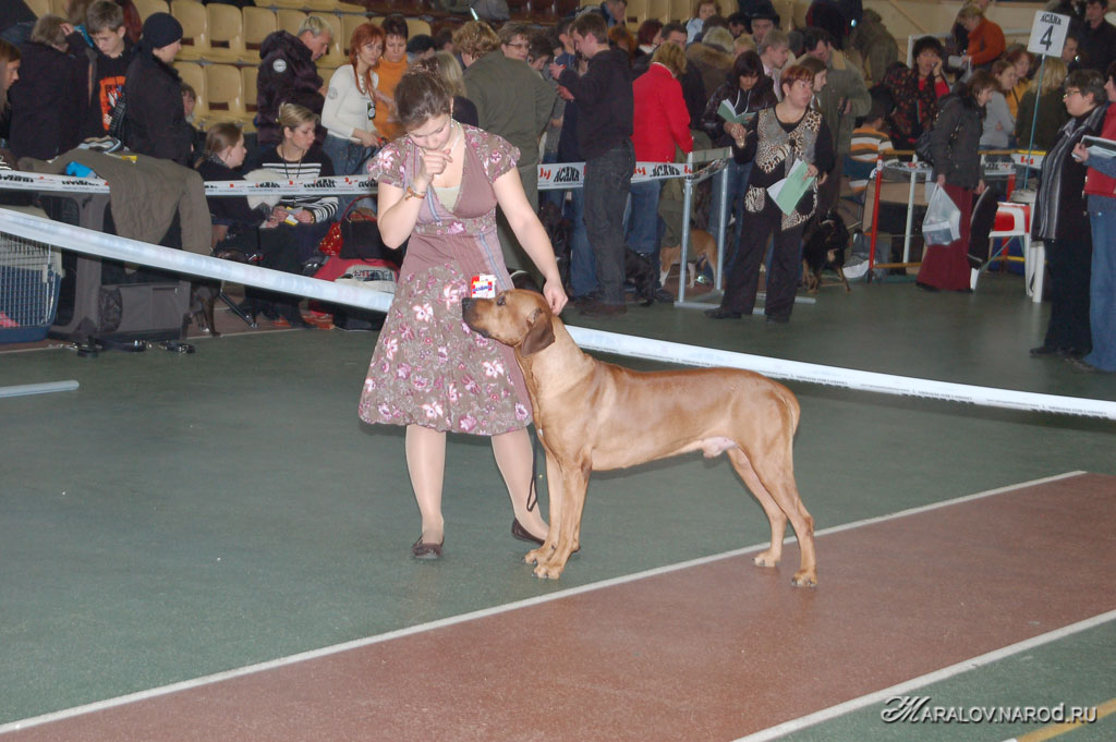 съёмка 15 декабря 2007