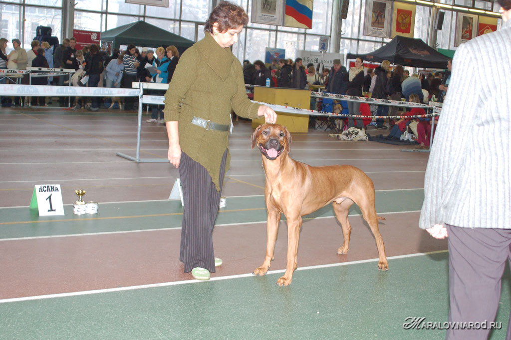 съёмка 15 декабря 2007