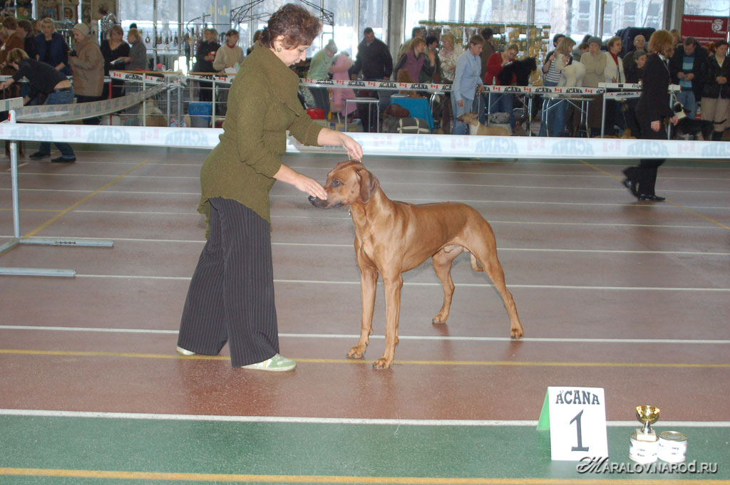 съёмка 15 декабря 2007