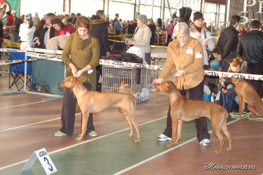 съёмка 15 декабря 2007