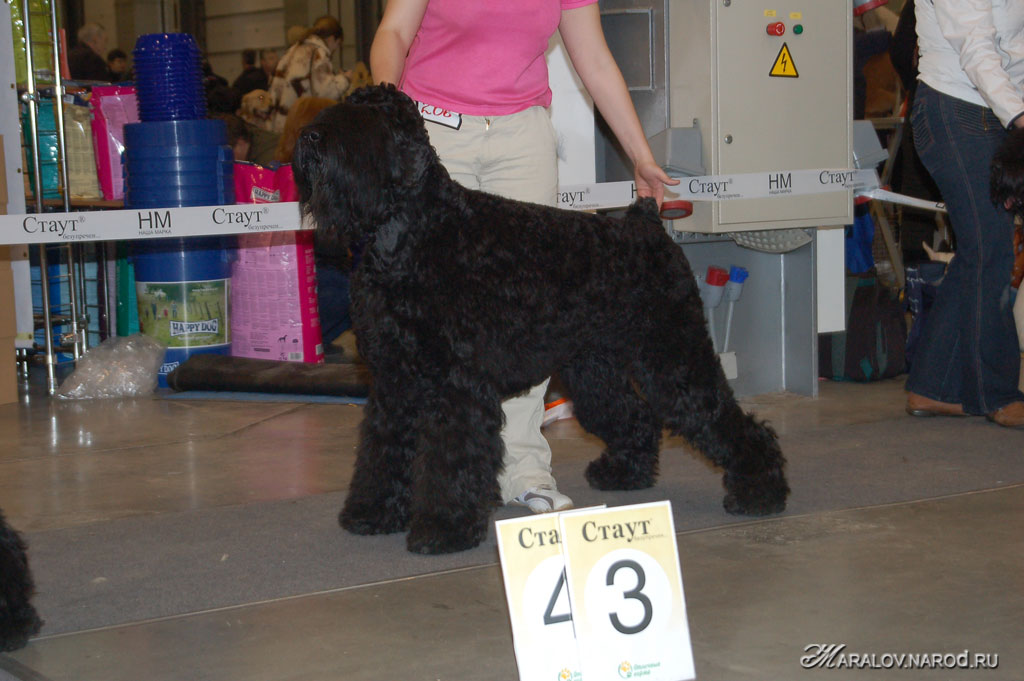 съёмка 19 января 2008