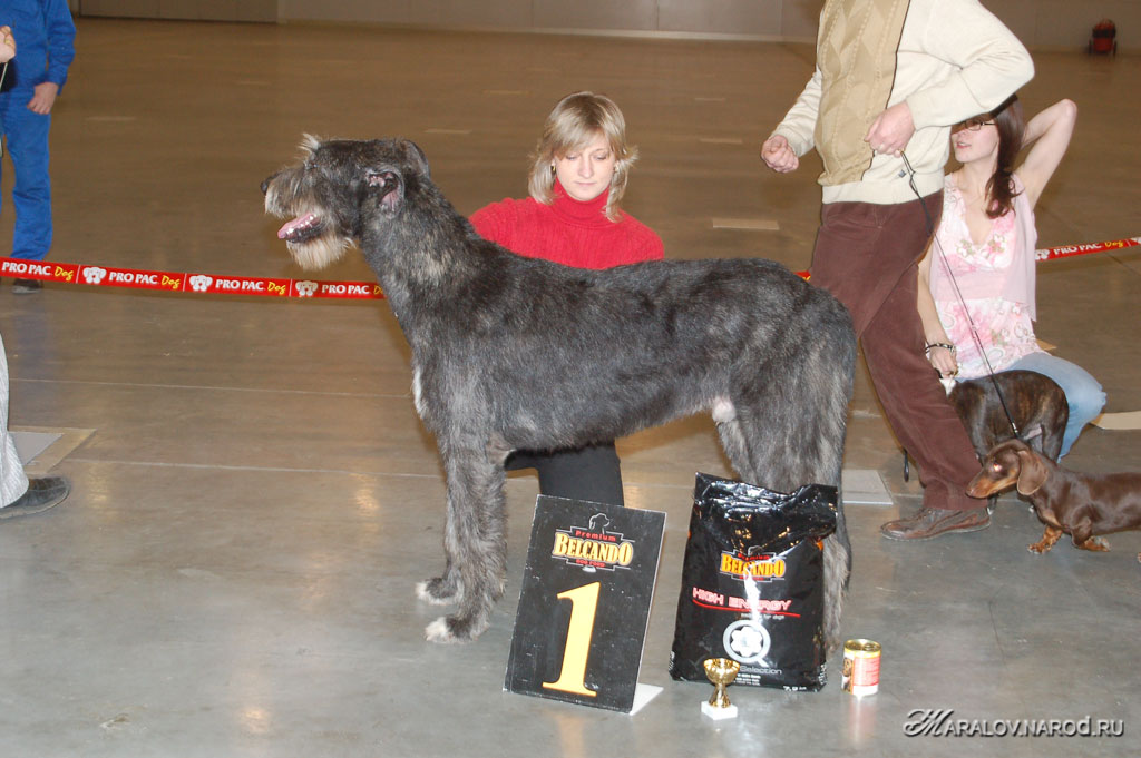 съёмка 19 января 2008