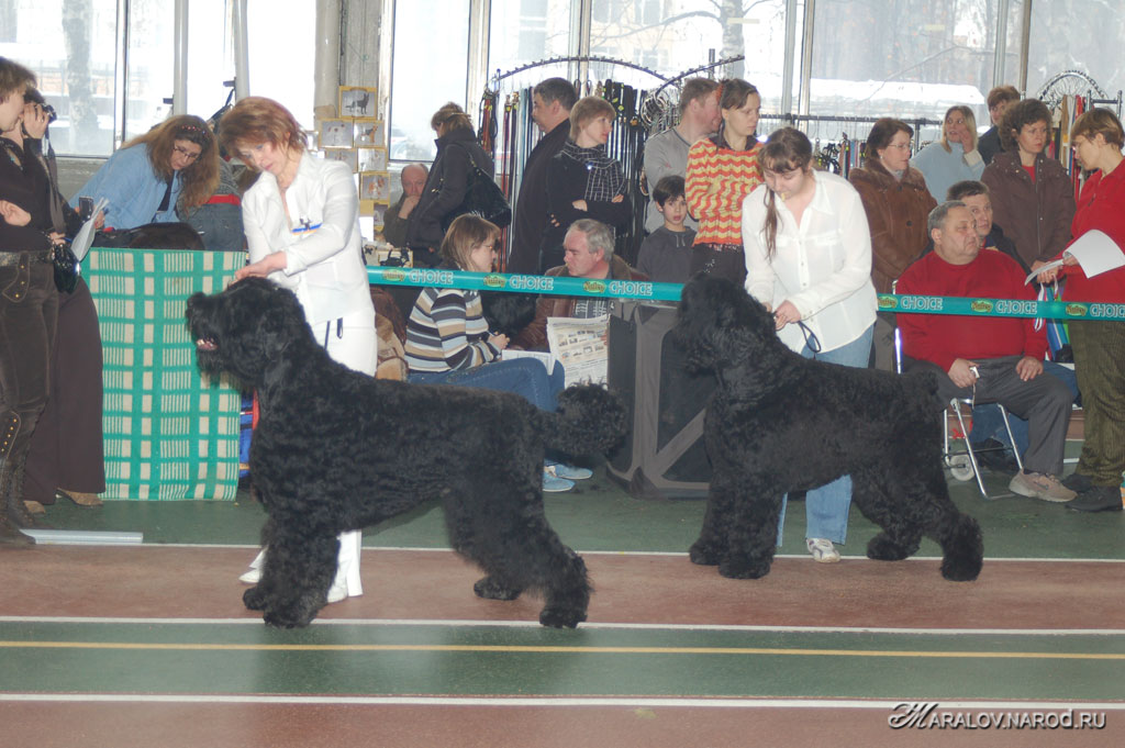 съёмка 3 февраля 2008