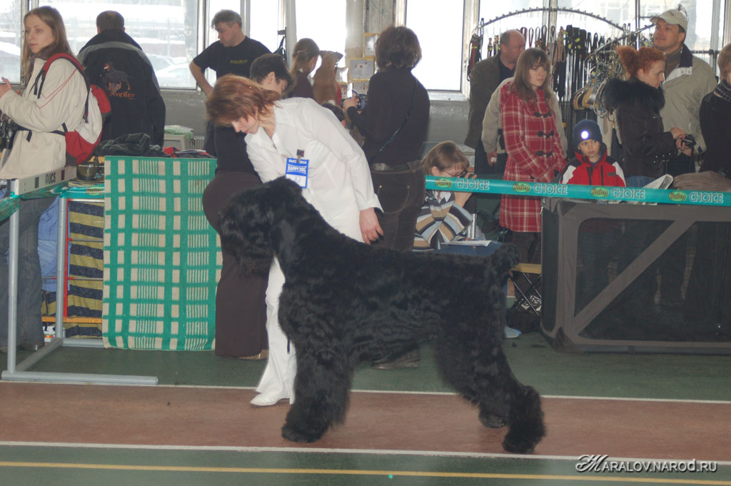 съёмка 3 февраля 2008