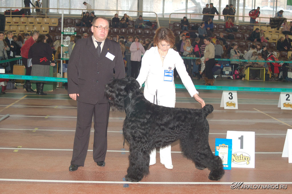 съёмка 3 февраля 2008