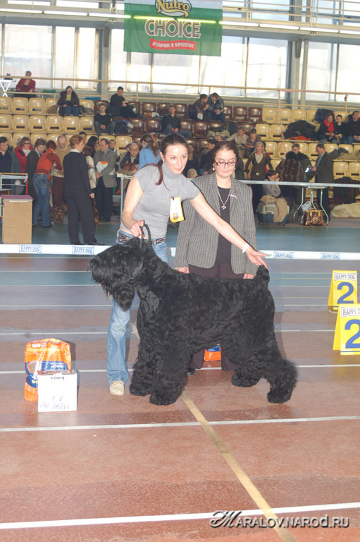 съёмка 3 февраля 2008