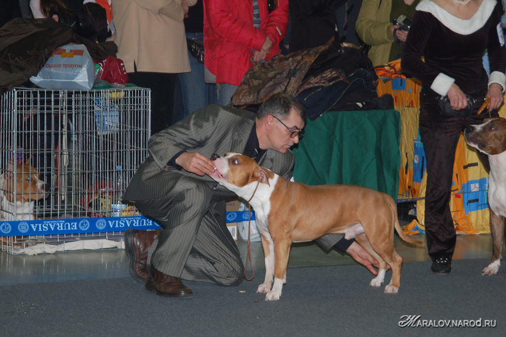 съёмка 23 февраля 2008