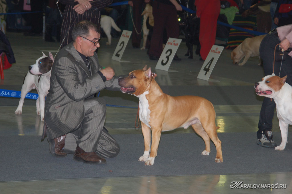 съёмка 23 февраля 2008