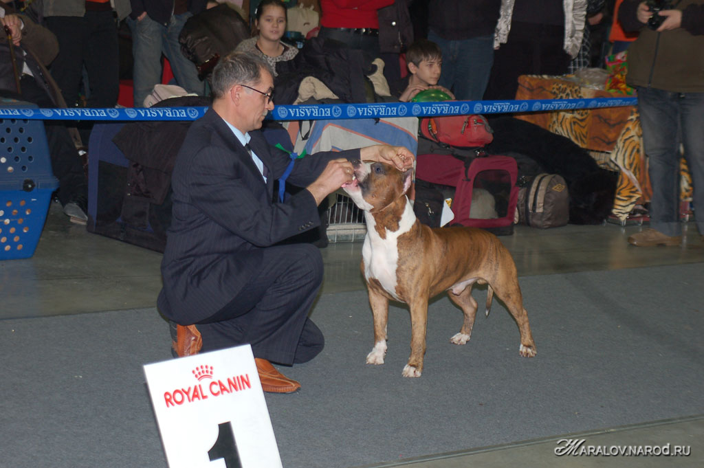 съёмка 24 февраля 2008