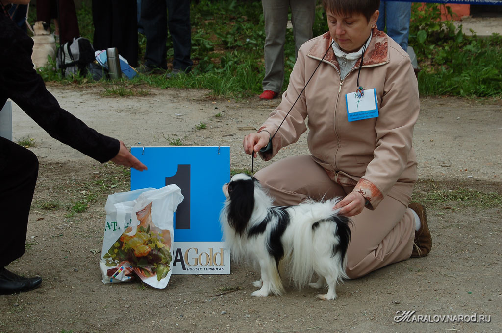 съёмка 8 июня 2008