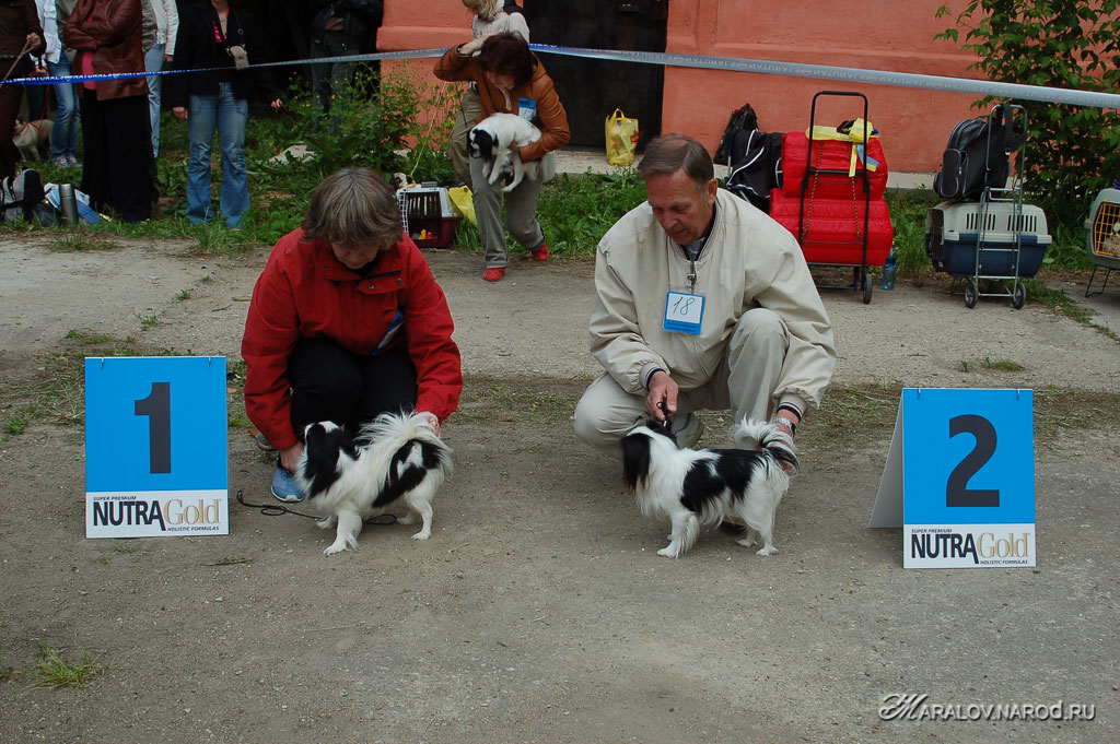 съёмка 8 июня 2008