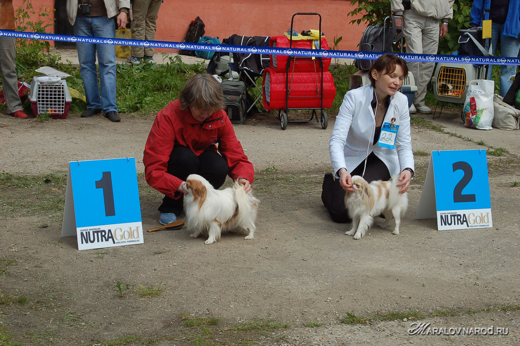 съёмка 8 июня 2008