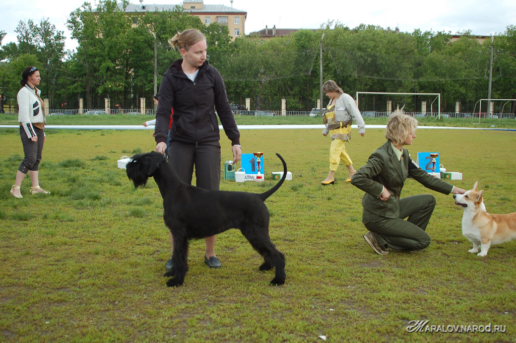 съёмка 1 июня 2008г.