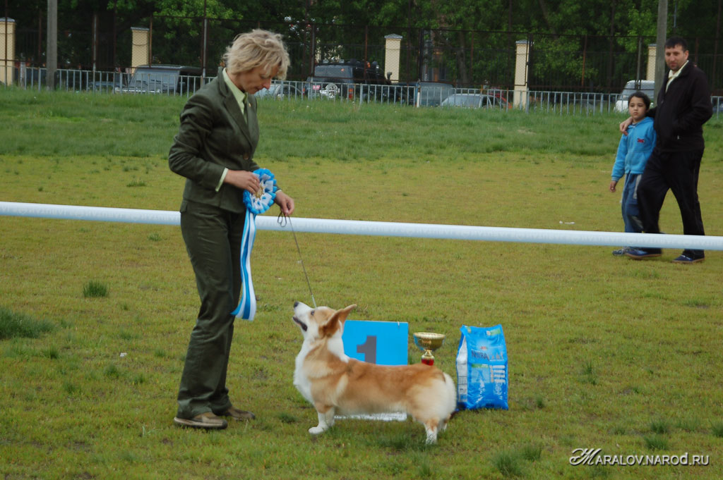 съёмка 1 июня 2008г.