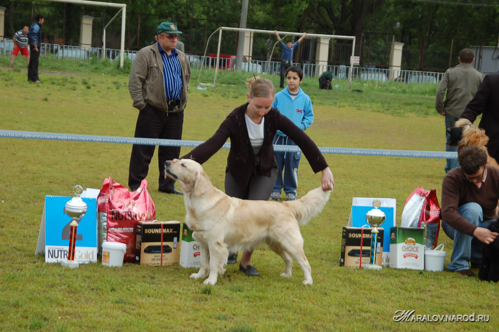 съёмка 1 июня 2008г.