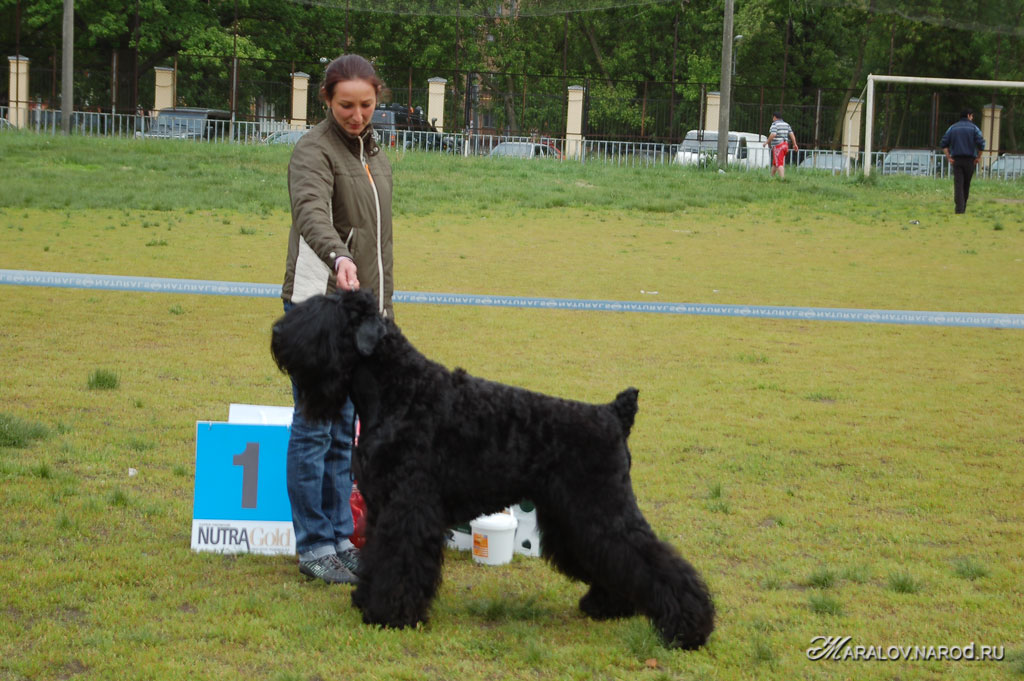 съёмка 1 июня 2008г.