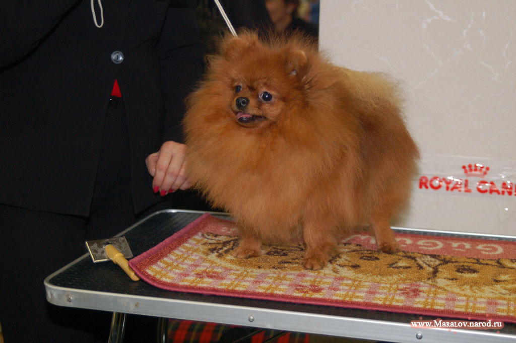 съёмка 17 ноября 2007г